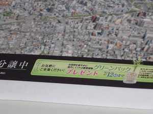 Dsc03545