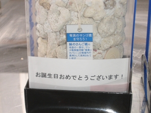 Cimg3756_2